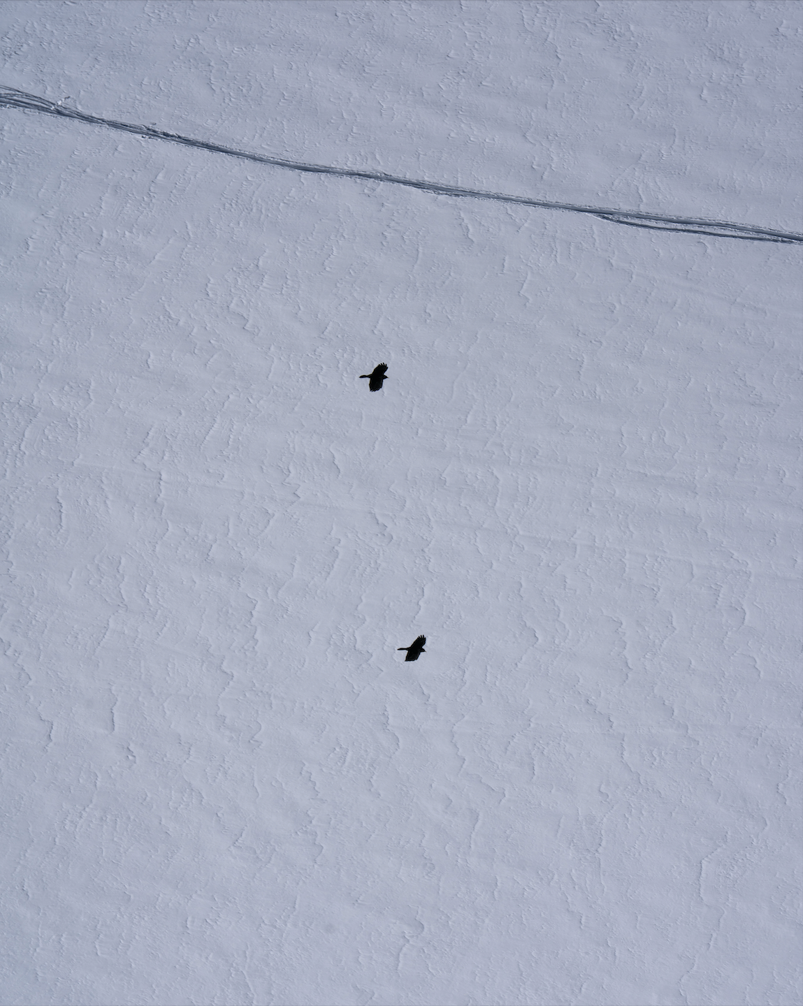 Shadow Flight