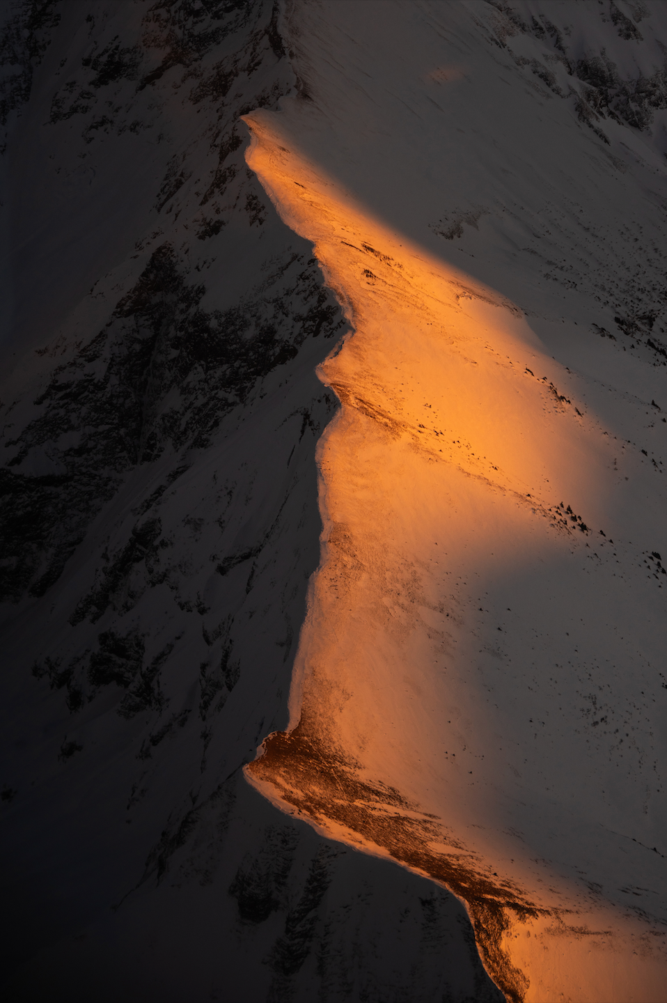 Sunline