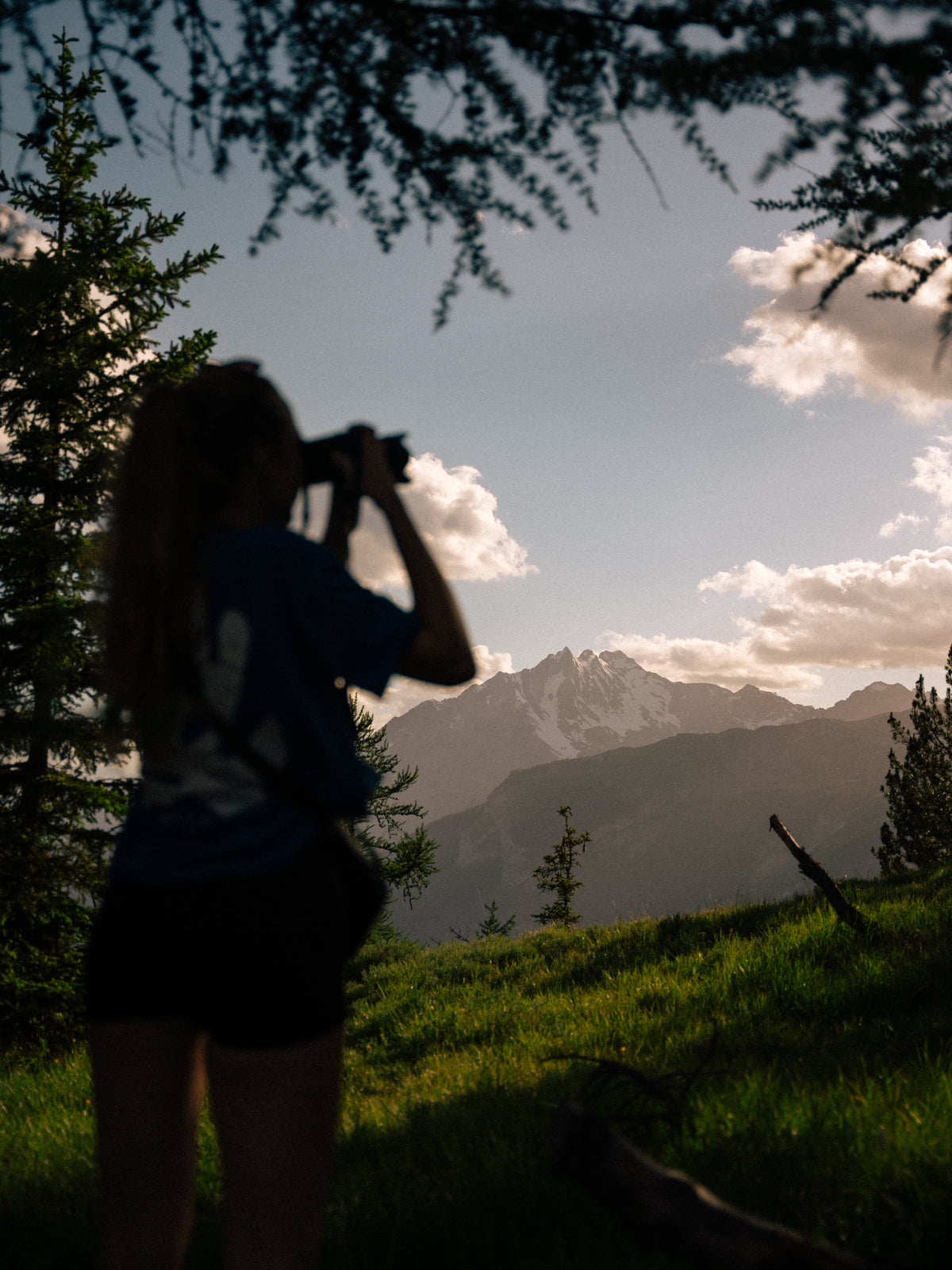 Une silhouette photographie les montagnes entre les arbres.