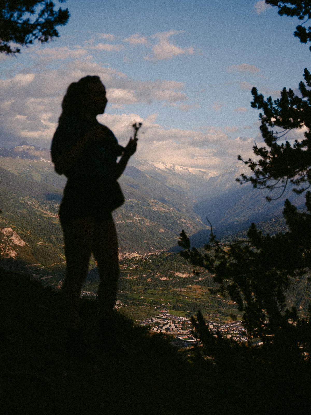 La silhouette de Rose à la lisière de la forêt.
